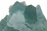 Cubic, Blue-Green Fluorite Crystal Cluster with Phantoms - China #217450-3